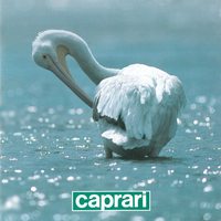 kep Felszíni centrifugálszivattyúk
